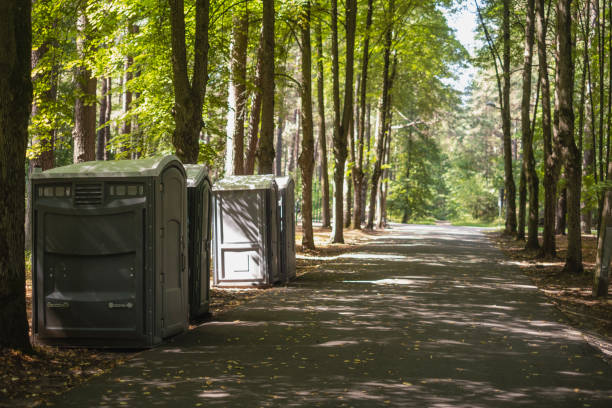 How Our Tree Care Process Works  in  Castle Pines, CO